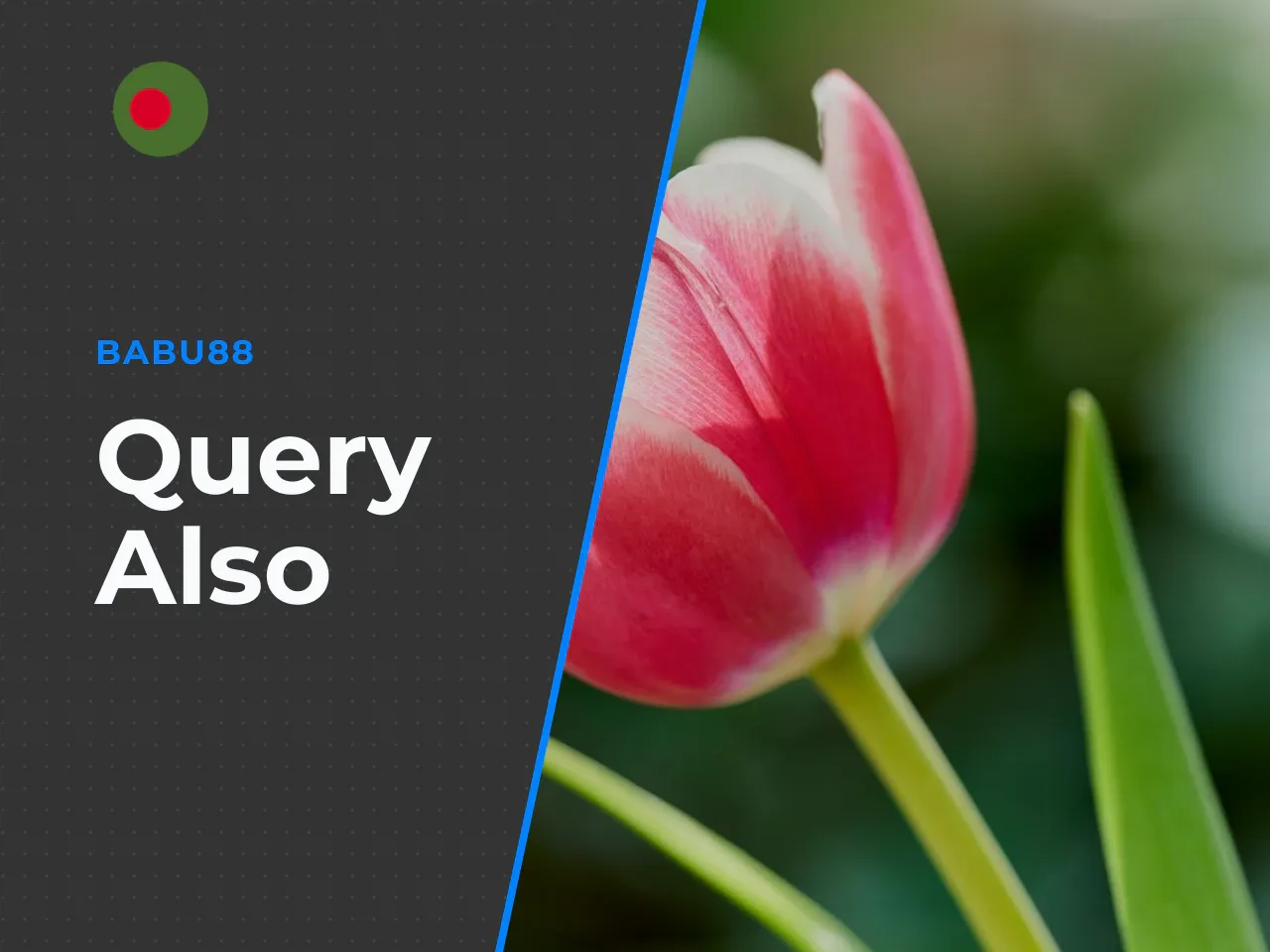 Why the Query Also Includes Slot, Bet and Cross-the-Road Terms. The inclusion of terms like chicken road slot, chicken road bet and chicken cross the road game in search results is primarily caused by